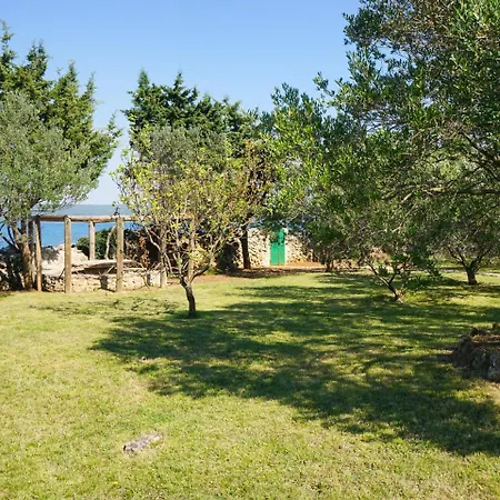 Island House Rajko * Banj