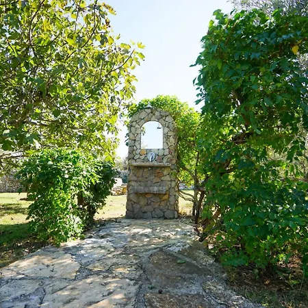 Island House Rajko
