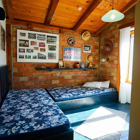 Semesterbostad Island House Rajko *